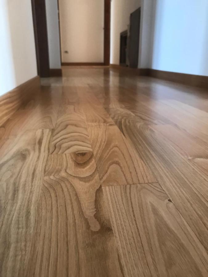 Cittanova  B&B Antares מראה חיצוני תמונה